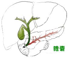 ŶX(qin)һƽ
